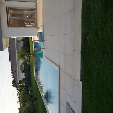 K فيلة